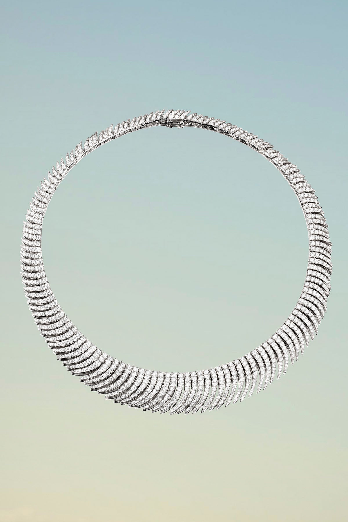Ras-De-Cou Palmier