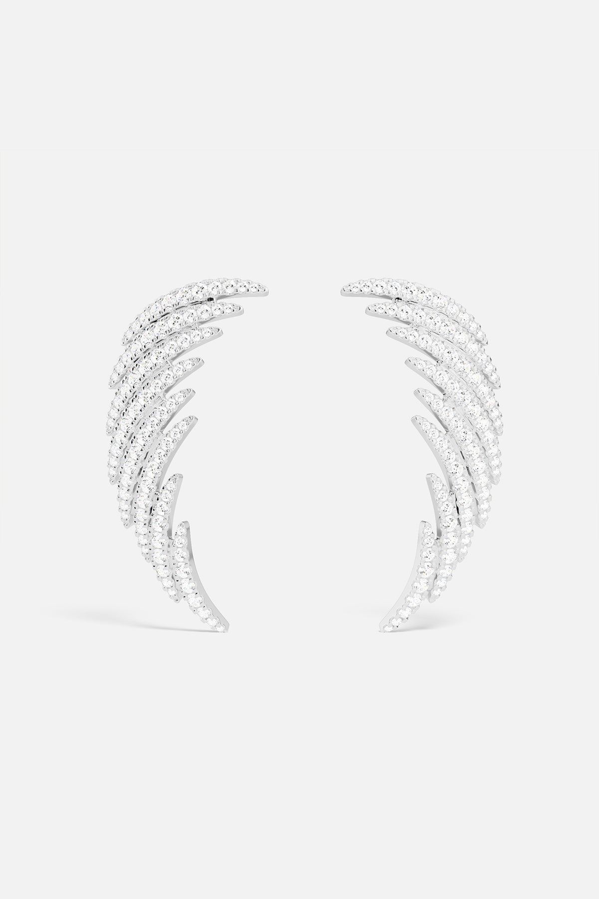 Boucles D'Oreilles Palmier